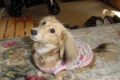 010-2.JPG - 43,253BYTES