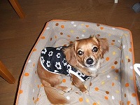 2006_10050008.JPG - 15,440BYTES
