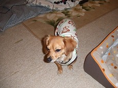 2006_12030006.JPG - 19,057BYTES
