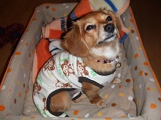 2006_12030010.JPG - 18,735BYTES