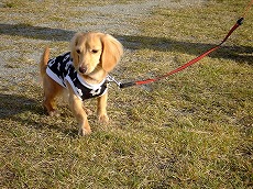 2007_1016RIN0065.JPG - 28,168BYTES