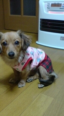 20080126175449.JPG - 27,141BYTES