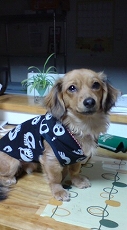20080126180644.JPG - 31,266BYTES
