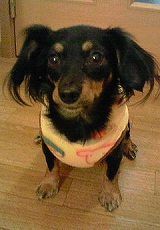 200802162043000.JPG - 37,951BYTES