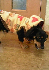 200802162043002.JPG - 39,297BYTES