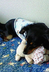 200807181204001.JPG - 49,571BYTES