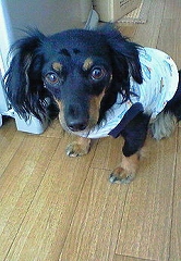 200807181206001.JPG - 49,042BYTES