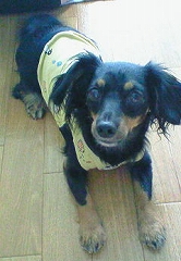200807181209001.JPG - 40,828BYTES