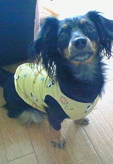 200807181210000.JPG - 41,514BYTES