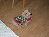262474_1187400275.JPG - 11,766BYTES