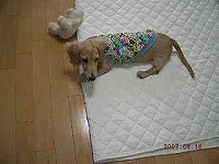 262474_1187401230.JPG - 12,353BYTES
