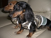 262474_1189172187.JPG - 15,182BYTES