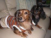 262474_1189172287.JPG - 16,820BYTES